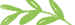 cropped logo leaf new.png